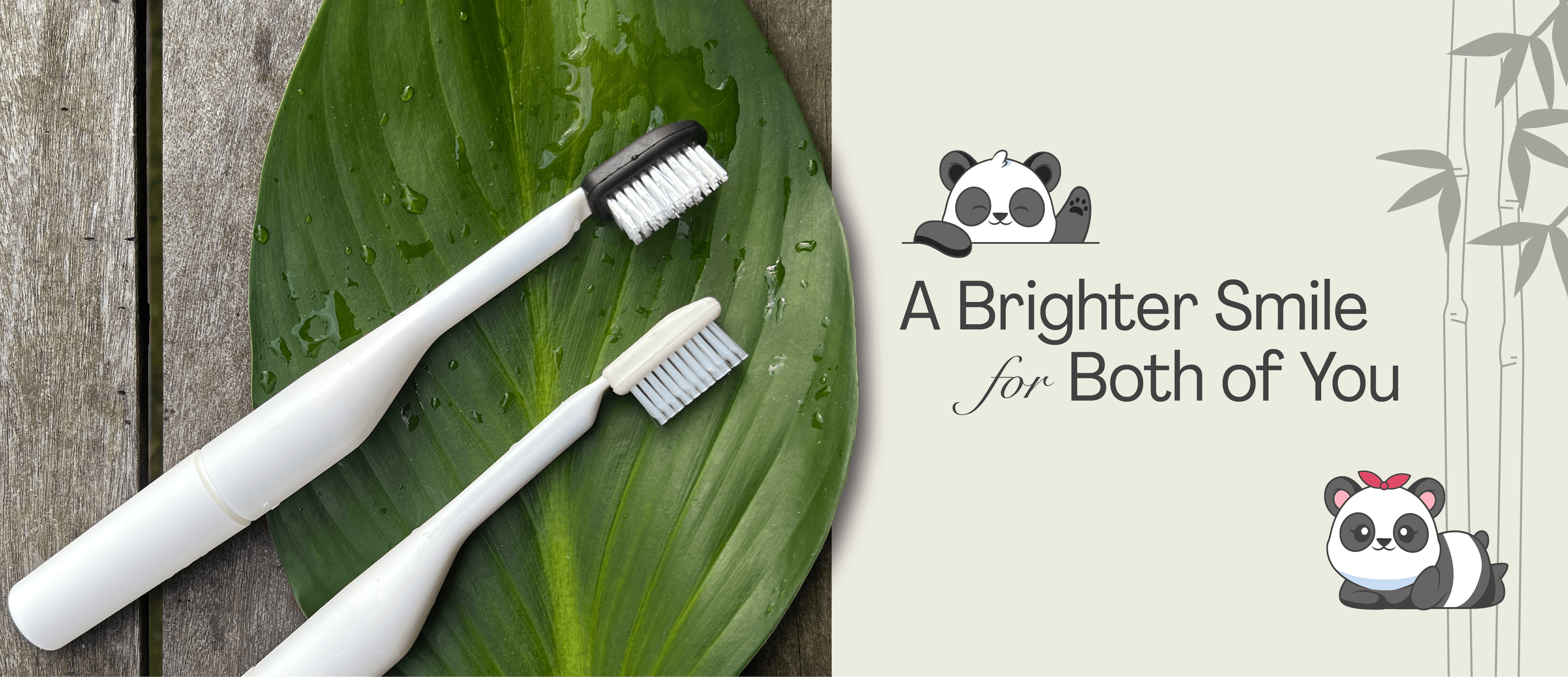 Oral SPA Next Generation Sonic Toothbrush